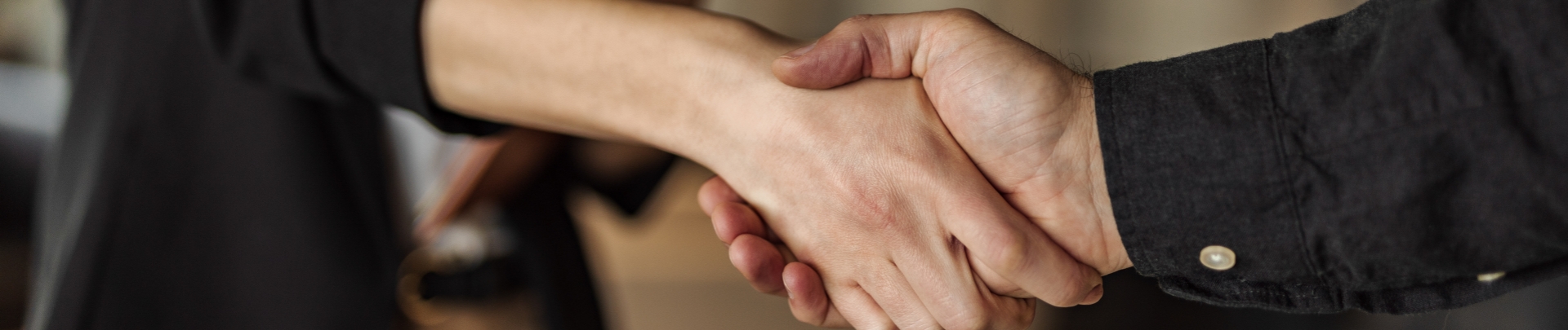 ondernemende vrouw schud de hand met een klant